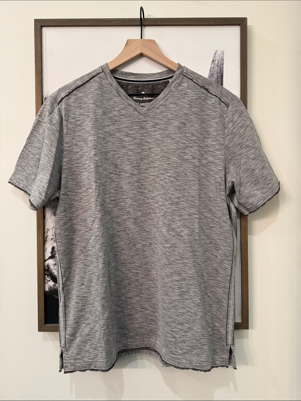 Tommy Bahama 🐟 IslandZone 🏝️ Short Sleeve V-Neck Shirt